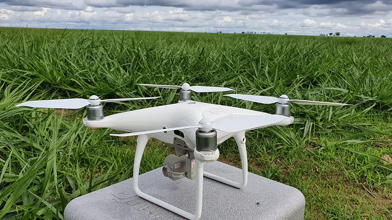 Drones auxiliam no monitoramento de pastagens em propriedades