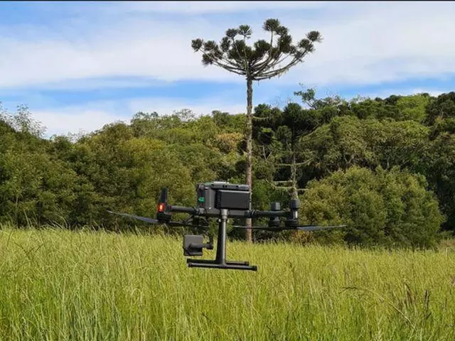 Drones garantem 66% de acurácia no monitoramento de pastagens
